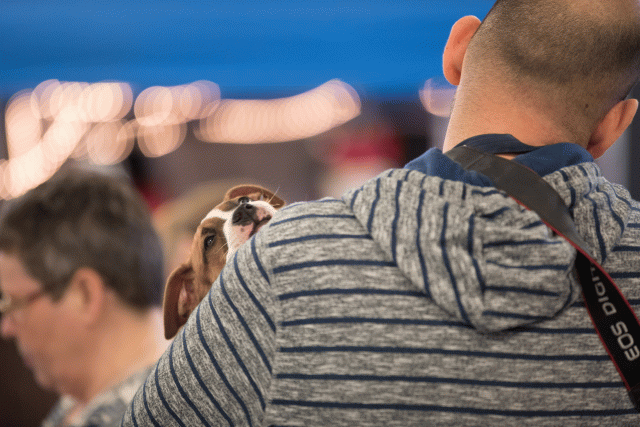 Bo4I0583 31198086802 O