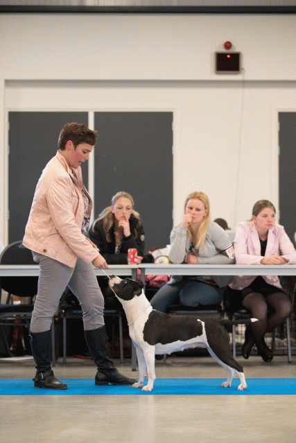 Bo4I0584 31306104876 O