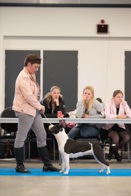 Bo4I0585 31306104576 O