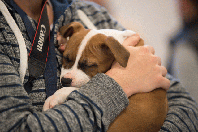 Bo4I0587 31198085812 O