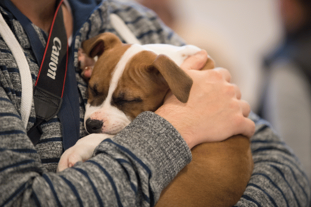 Bo4I0588 30534559143 O