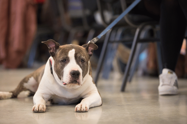 Bo4I0590 31198085682 O