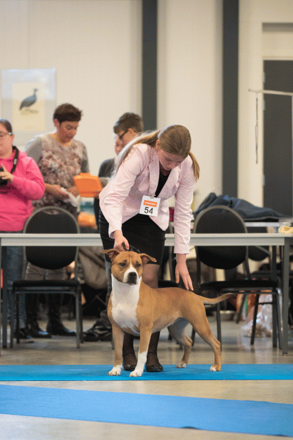 Bo4I0591 31306102856 O