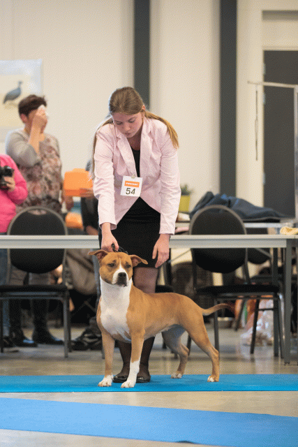 Bo4I0592 30519755454 O