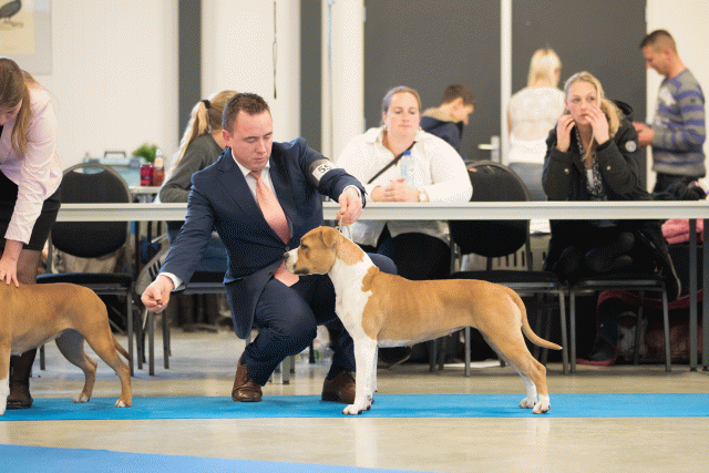 Bo4I0593 31198084402 O