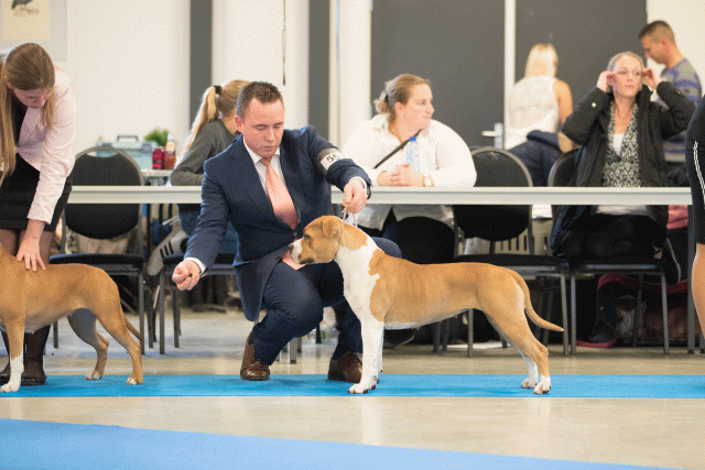 Bo4I0594 30973160180 O