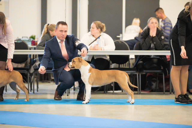 Bo4I0595 31198083912 O