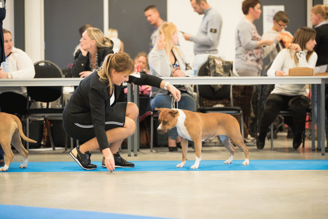 Bo4I0596 30973159440 O