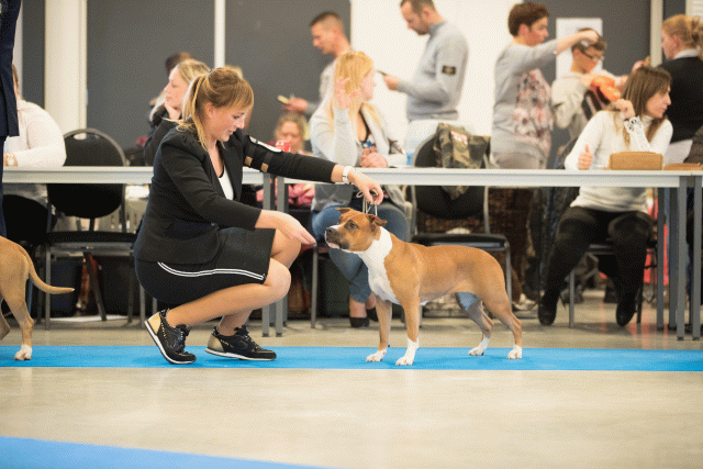 Bo4I0597 30519754104 O