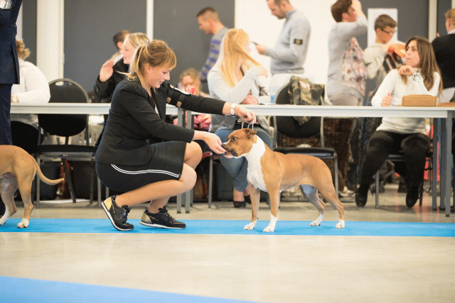 Bo4I0598 30973158680 O