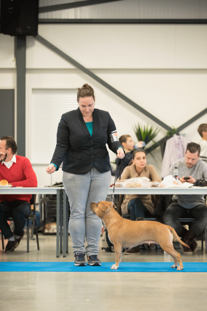 Bo4I0602 30519753104 O