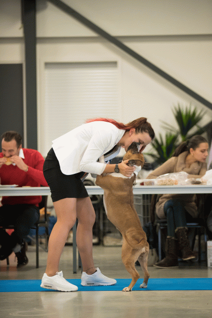 Bo4I0605 31198081502 O