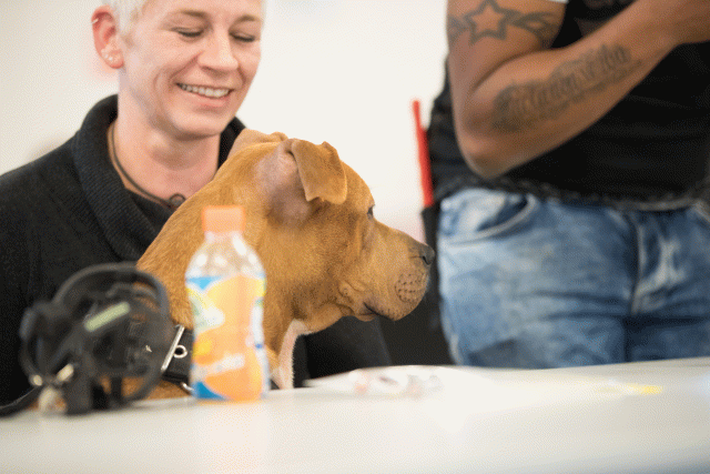 Bo4I0606 30519752134 O