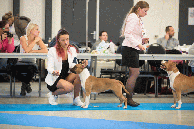 Bo4I0608 30519751474 O