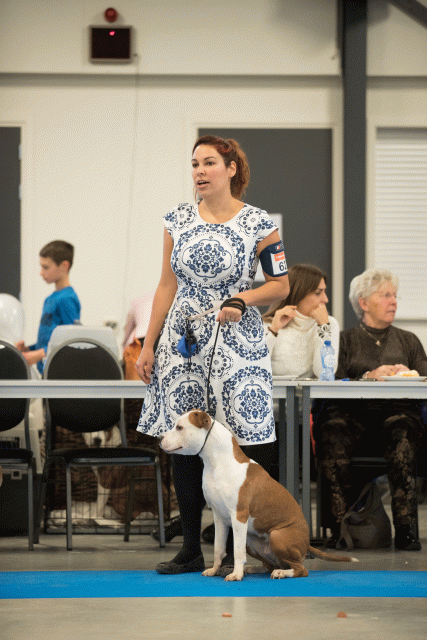 Bo4I0611 30519750604 O