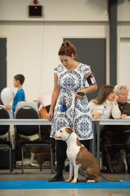 Bo4I0612 30519750334 O