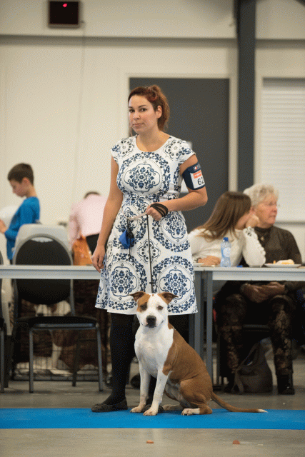 Bo4I0613 30519749984 O