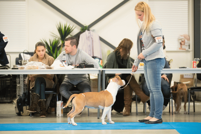 Bo4I0615 30519749254 O