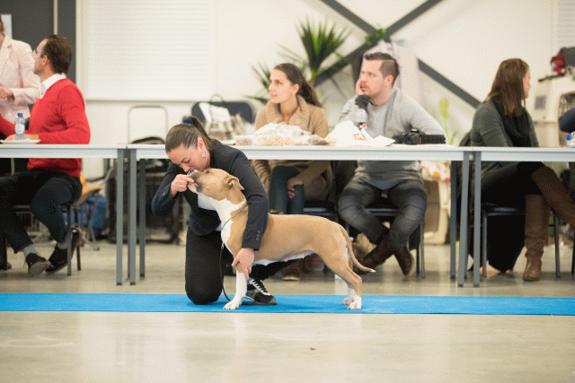 Bo4I0618 30519748554 O