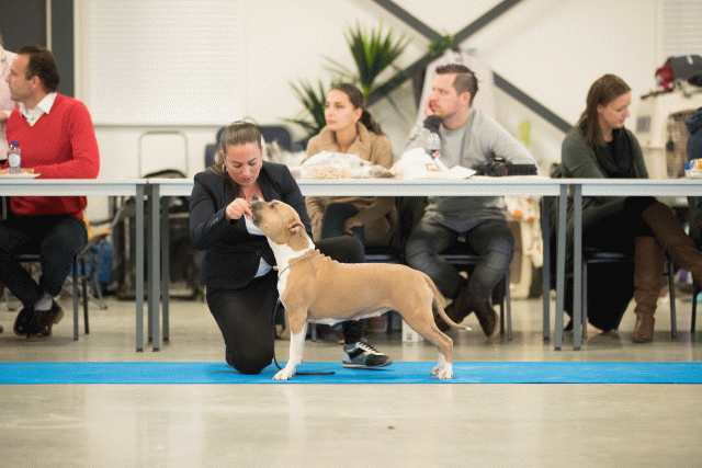 Bo4I0619 30519747954 O