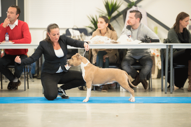 Bo4I0621 30519747084 O