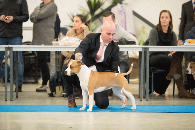 Bo4I0622 31306091046 O