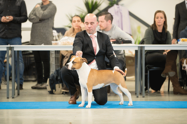 Bo4I0623 30519747734 O