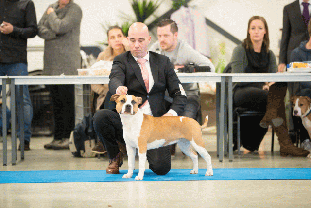 Bo4I0624 30519746094 O