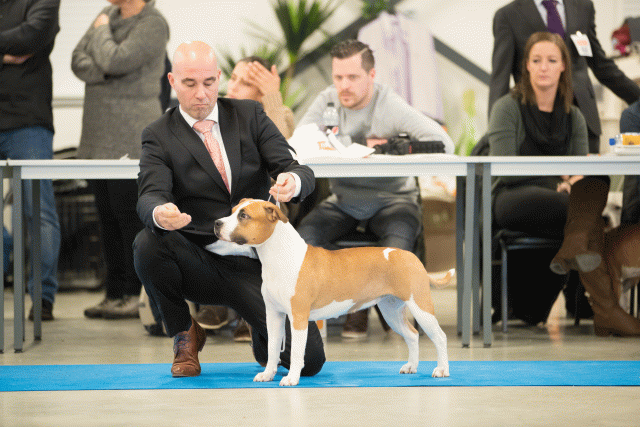 Bo4I0625 31198077272 O