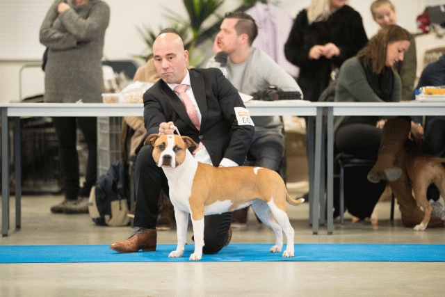 Bo4I0626 30973151780 O