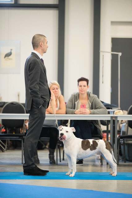 Bo4I0627 31306089316 O