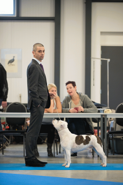 Bo4I0628 30973151140 O