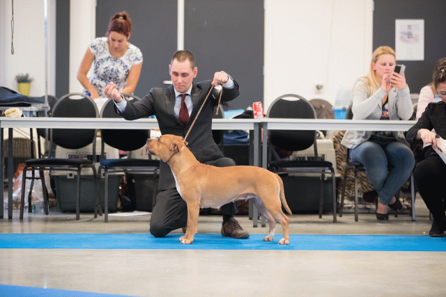 Bo4I0629 31342248625 O