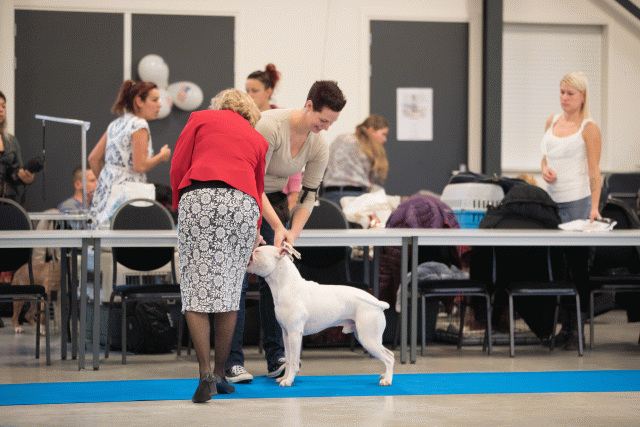 Bo4I0395 31342288255 O