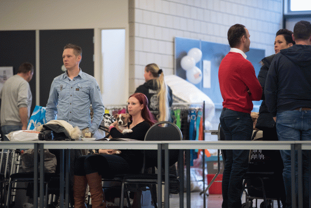 Bo4I0397 31342288395 O