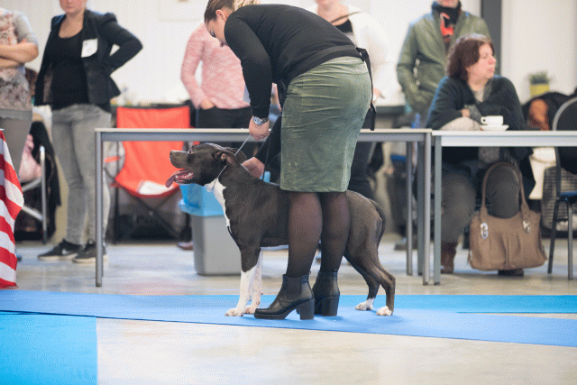 Bo4I0398 30519824924 O