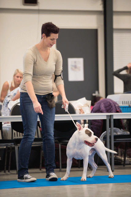 Bo4I0400 31342287465 O