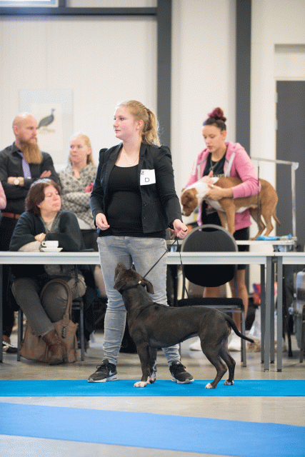 Bo4I0401 31342287895 O