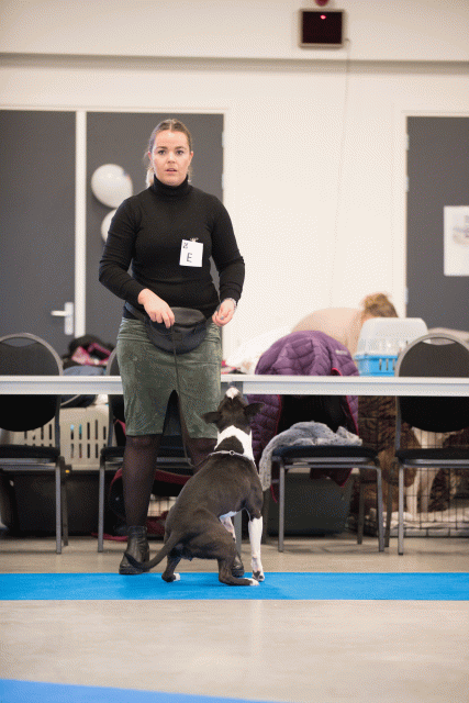 Bo4I0402 31306153166 O