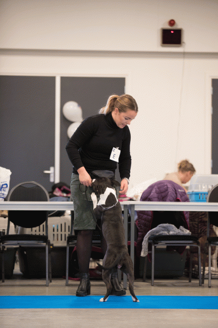 Bo4I0404 31227367641 O