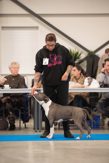 Bo4I0406 30519822554 O