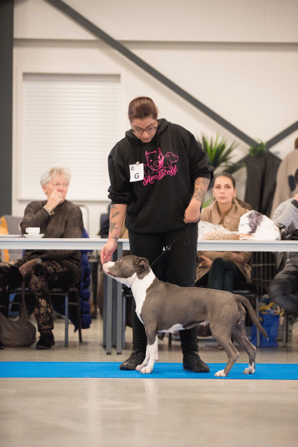 Bo4I0407 31227367421 O