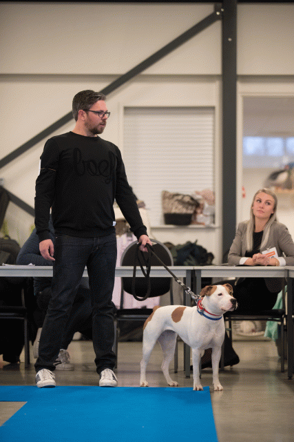 Bo4I0411 30519820774 O