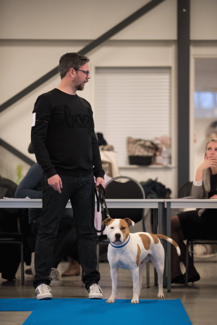 Bo4I0412 31227366951 O