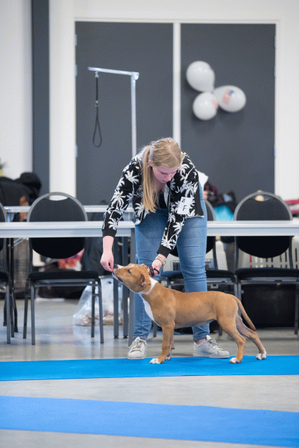 Bo4I0415 30534606063 O