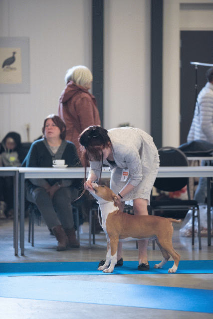 Bo4I0416 31227366721 O