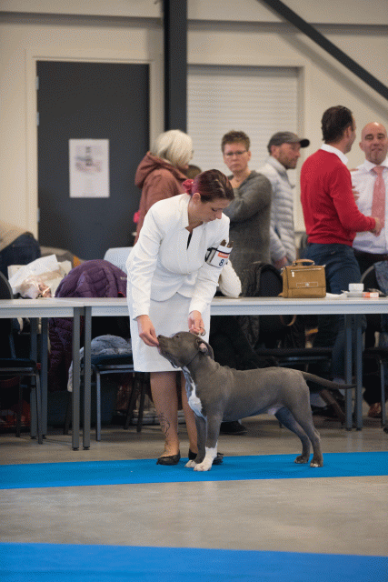 Bo4I0417 30534605643 O