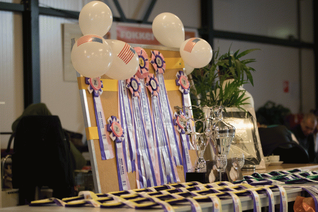 Bo4I0420 31227366201 O