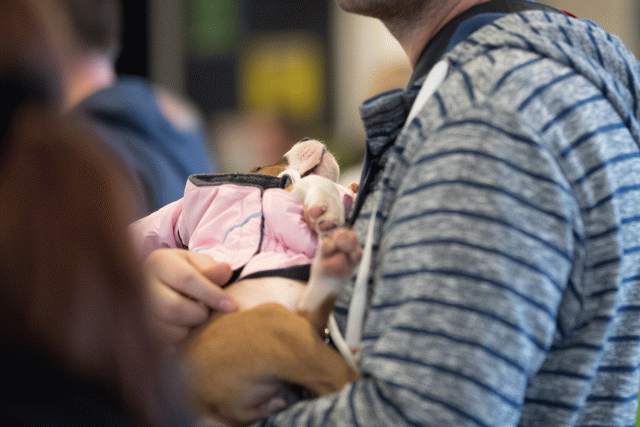 Bo4I0421 30534604873 O