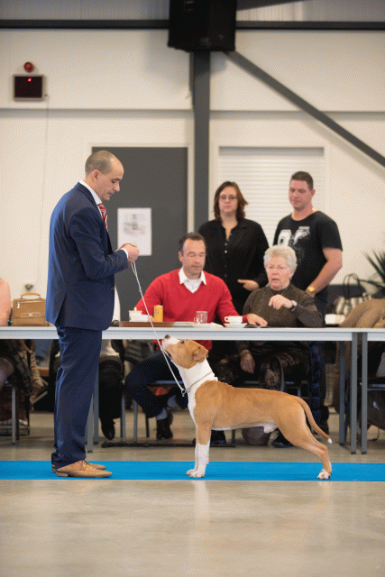 Bo4I0424 30534604563 O